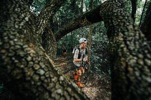 BIB: 
                            <button type="button" onclick="openModal(25392117)" class="btn btn-primary btn-sm float-right btn-popup" data-toggle="modal" data-target=".modal-high-quality">
                        <i class="fas fa-shopping-cart"></i> Add to Cart
                    </button>
                                            <button type="button" onclick="isThisMe(25392117, true)" class="btn btn-success btn-sm float-right btn-popup btn-isme hidden" data-toggle="tooltip" data-placement="bottom" title="นี่คือรูปของคุณใช่ไหม คลิกที่นี่เพื่อเอาเข้าอัลบั้ม">
                        <i class="fas fa-plus"></i> Add to album
                    </button>
                    <button type="button" onclick="isThisMe(25392117, false)" class="btn btn-warning btn-sm float-right btn-popup btn-isnotme hidden">
                        <i class="fas fa-ban"></i> Remove from album
                    </button>